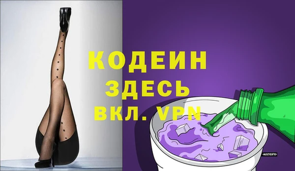 шишки Аркадак