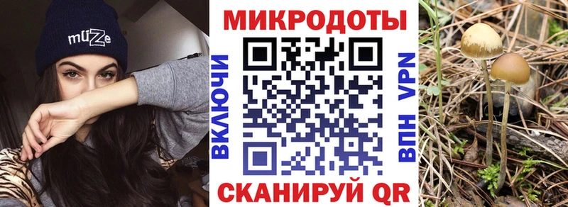 Псилоцибиновые грибы MAGIC MUSHROOMS  Белинский 